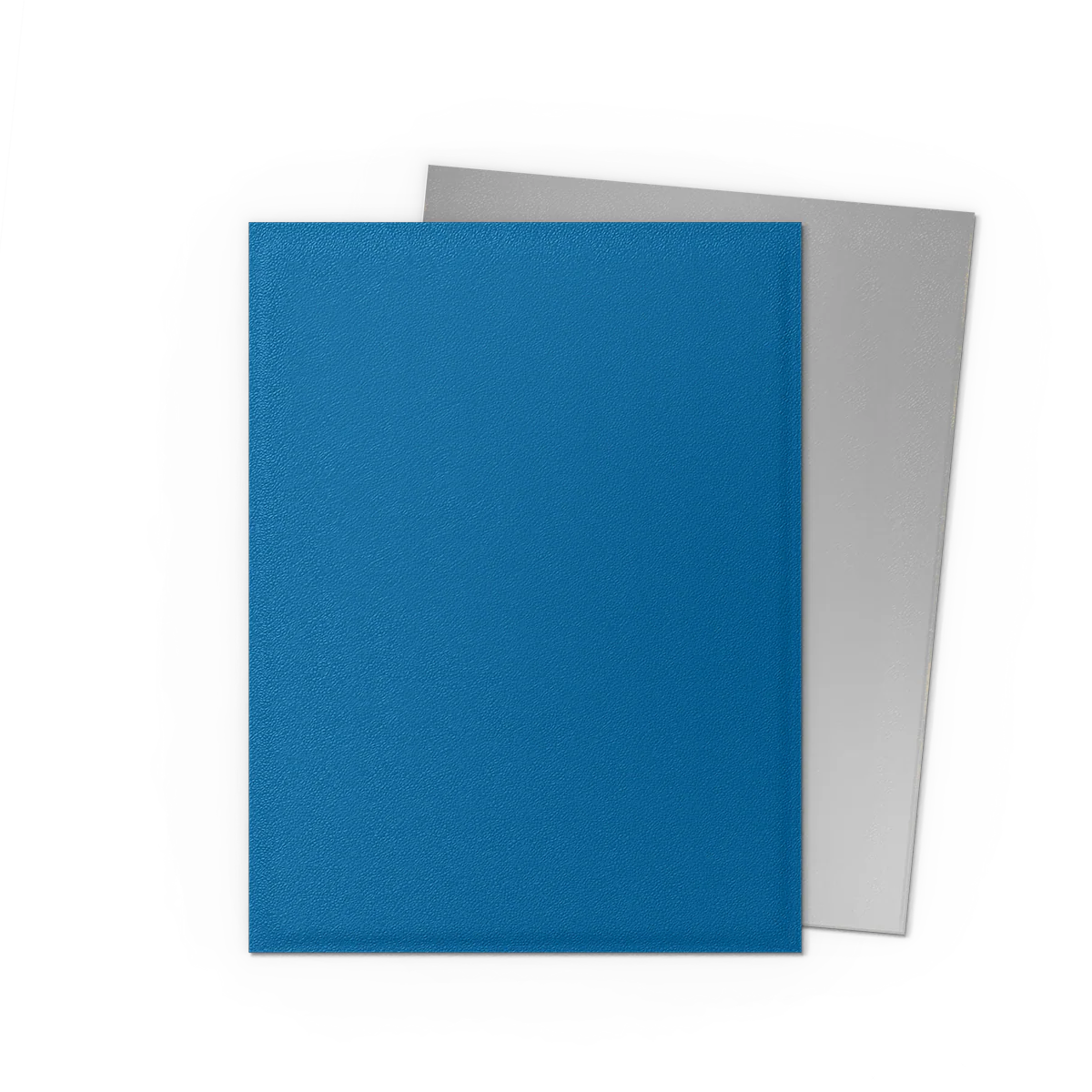 BUSTE PROTETTIVE STANDARD DA 100 - DUAL MATTE COBALT & SILVER (AT-15064) Foto 1 BUSTE PROTETTIVE STANDARD DA 100 - DUAL MATTE COBALT & SILVER (AT-15064) Foto 1